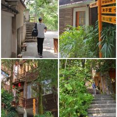 仙店农庄(湖景农庄餐厅) User Photo