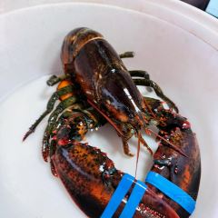Lobster Shack User Photo