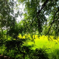 许苑咖啡 User Photo