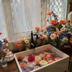 不老的花园 User Photo