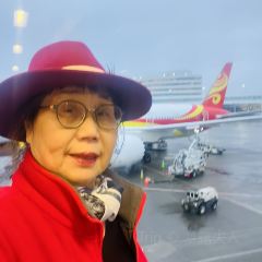 Dish D'lish User Photo