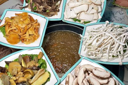 尚品牛味汤锅火锅(新都桥旗舰店)