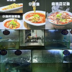 邛海打魚匠張用戶圖片