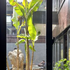 冯家花园 User Photo