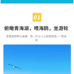 青海土火锅(建设西路店) User Photo