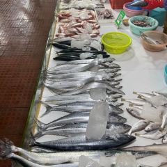 企沙渔港 User Photo