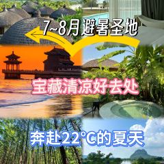 秀嫂挞粿 User Photo