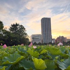 Torie Ueno Hirokoji User Photo