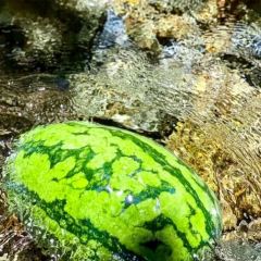 汇水山庄 User Photo