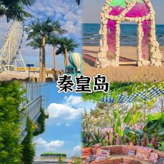 Baijiazhaobing User Photo