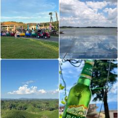 南湾鱼味馆 User Photo