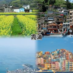 王景状元饼(英芳店) User Photo