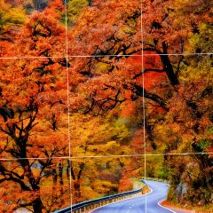 木楼人家老吊锅(神农剧院店) 여행 사진