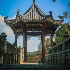 GOLD HOMELAND User Photo