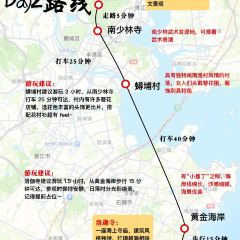 Auntie Jijia User Photo