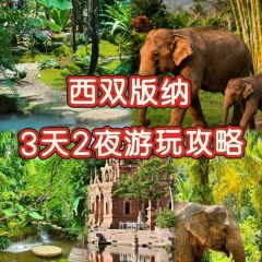 曼回索玉旺罕傣家乐 User Photo