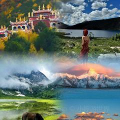 MALAYA TIBETAN RESTAURANT User Photo