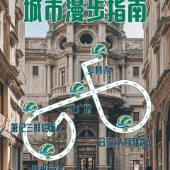 AWU YELLOW RIVER COMMON CARP 여행 사진