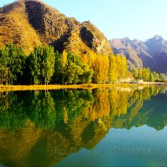 Baijiazhaobing User Photo