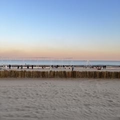 Bar Lotus User Photo