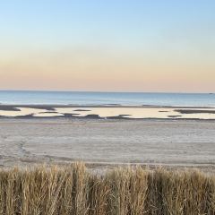 Bar Lotus User Photo