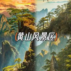 秀嫂挞粿 User Photo