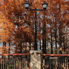 在咖啡INCOFFEE(融侨外滩壹号店) User Photo