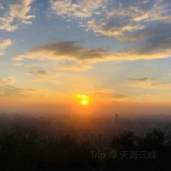 漢堡王(惠陽星河店)張用戶圖片