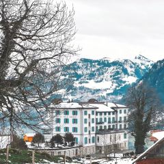 Hotel Villa Honegg張用戶圖片