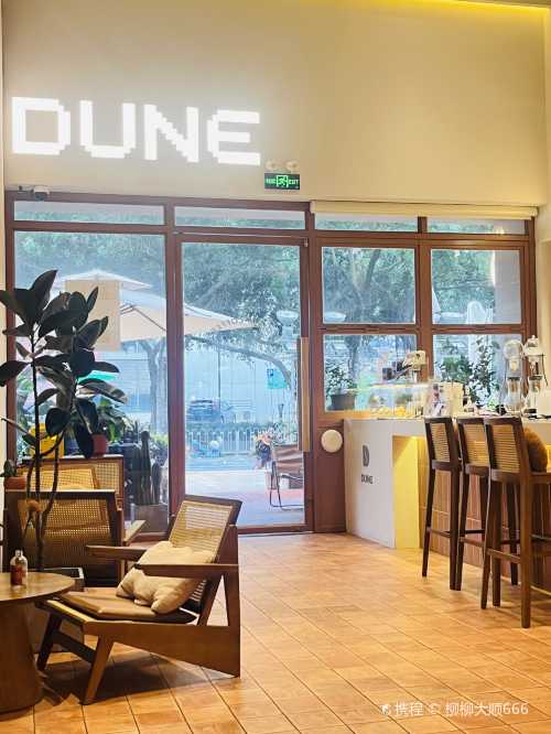沙丘咖啡DUNE COFFEE(深业水松大厦店)