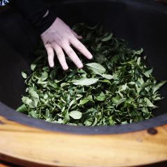 黄花镇银峰农庄 User Photo