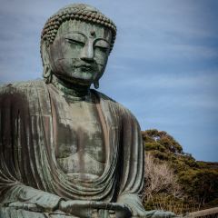 Sangosho Moana Makai User Photo