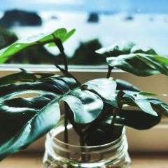 Khaothong Terrace Restaurant User Photo