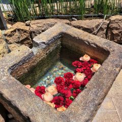 Gonpachi Nishi-Azabu User Photo