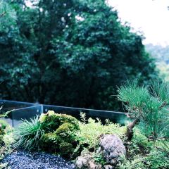 CI GUAN SHAN FANG User Photo