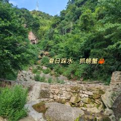 Dasanzheng Beef User Photo