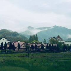 丁师傅205老面馆 User Photo