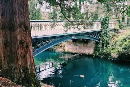 The Combermere Arms - Family Pub