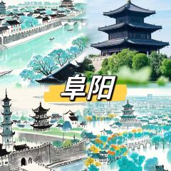 Tiansanjuanmo (renminzhonglu) User Photo