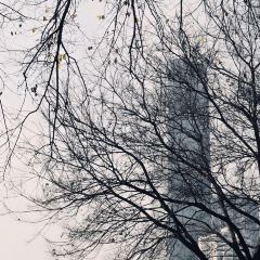 XIN SHI HUI User Photo