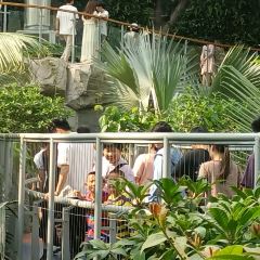 小隱圍屋張用戶圖片