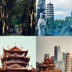 西禅寺荔香楼素菜馆(工业路店) User Photo