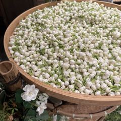 阿不然台湾热炒(龙王头店) User Photo