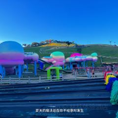 安吉云上草原·1168星空天文酒店·雪具大厅餐厅 User Photo