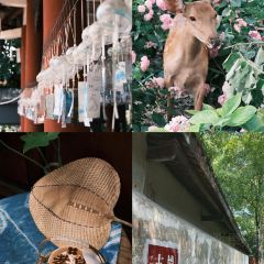 留恋人家(广汉三星堆巴蜀店) User Photo