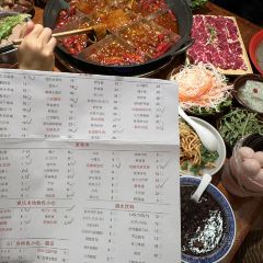 大井巷 User Photo