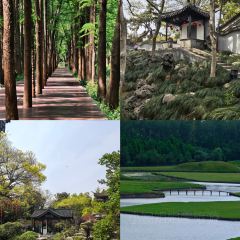 老海陵·澜叙餐厅 User Photo