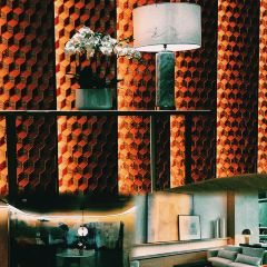 Park Hyatt Changsha-Lilan User Photo