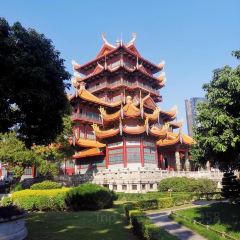 Da Fu Xing Yu Wan (Mei Shi Jie) User Photo