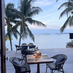 Sabienglae lamai張用戶圖片